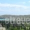 Rastoni Apartments_best deals_Apartment_Cyclades Islands_Andros_Andros City