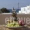 Iades Studios & Apartments_lowest prices_in_Apartment_Cyclades Islands_Paros_Paros Chora