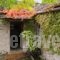 Avragonio Traditional Apartments_lowest prices_in_Hotel_Epirus_Ioannina_Papiggo