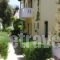 Studio Popi_best deals_Hotel_Aegean Islands_Samos_Marathokambos