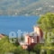 Dedelos Studios_best prices_in_Apartment_Piraeus Islands - Trizonia_Poros_Poros Chora