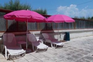 Pension Tzitzifies_lowest prices_in_Room_Macedonia_Thessaloniki_Perea