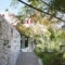 Studios Anna_lowest prices_in_Room_Cyclades Islands_Amorgos_Katapola