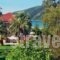 Villa Makis_accommodation_in_Villa_Ionian Islands_Lefkada_Vasiliki