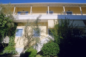 Cosmos Studios & Apartments_accommodation_in_Apartment_Ionian Islands_Lefkada_Lefkada Rest Areas