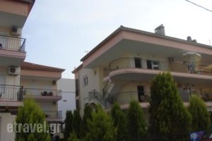 Vicky Apartments_best prices_in_Apartment_Macedonia_Halkidiki_Haniotis - Chaniotis