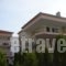 Vicky Apartments_best prices_in_Apartment_Macedonia_Halkidiki_Haniotis - Chaniotis