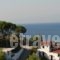 Villa Frideriki_accommodation_in_Villa_Sporades Islands_Skiathos_Skiathosst Areas