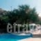 Lassia Studios_best prices_in_Hotel_Aegean Islands_Lesvos_Petra