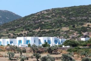 Smaragda Rooms & Studios_holidays_in_Room_Cyclades Islands_Sifnos_Platys Gialos