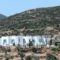 Smaragda Rooms & Studios_holidays_in_Room_Cyclades Islands_Sifnos_Platys Gialos