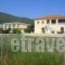 Apollo Studios_travel_packages_in_Ionian Islands_Zakinthos_Zakinthos Rest Areas