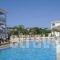 Planos Apart_best prices_in_Apartment_Ionian Islands_Zakinthos_Planos
