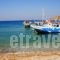 Aphrodite Studios_holidays_in_Hotel_Dodekanessos Islands_Kalimnos_Kalimnos Rest Areas