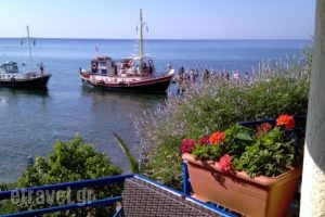 Votsalakia Beach_best deals_Hotel_Aegean Islands_Samos_MarathoKambos