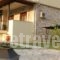 Villas Gregory_best prices_in_Villa_Ionian Islands_Lefkada_Sivota