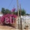 Pelagos Bay_best deals_Hotel_Ionian Islands_Kefalonia_Skala