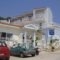 Pelagos Bay_lowest prices_in_Hotel_Ionian Islands_Kefalonia_Skala