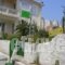 Kyknos_best deals_Apartment_Ionian Islands_Kefalonia_Argostoli