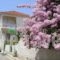 Kyknos_best prices_in_Apartment_Ionian Islands_Kefalonia_Argostoli