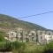 Villas Aktes_lowest prices_in_Villa_Ionian Islands_Lefkada_Vasiliki