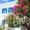 Margarita Hotel_accommodation_in_Hotel_Piraeus islands - Trizonia_Kithira_Kithira Chora