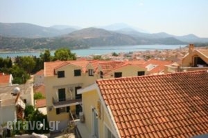 Europe Hotel_best prices_in_Hotel_Ionian Islands_Kefalonia_Argostoli