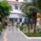 Vasilakis Studios & Apartments_travel_packages_in_Crete_Heraklion_Malia