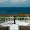 Brentanos Apartments - View of Paradise_lowest prices_in_Apartment_Ionian Islands_Corfu_Corfu Rest Areas
