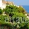 Margarita Hotel_best prices_in_Hotel_Piraeus islands - Trizonia_Kithira_Kithira Chora