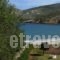 Mealos_accommodation_in_Apartment_Sporades Islands_Skyros_Aspous