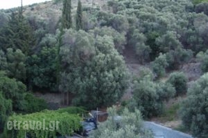 Villa Seretis_lowest prices_in_Villa_Aegean Islands_Samos_Kokkari