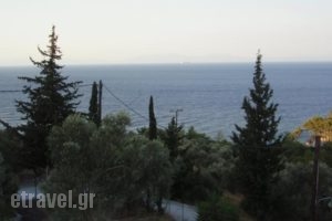 Villa Seretis_travel_packages_in_Aegean Islands_Samos_Kokkari