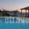 Asterida_holidays_in_Room_Ionian Islands_Ithaki_Stavros
