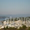 Kalithea_lowest prices_in_Apartment_Peloponesse_Argolida_Kranidi