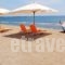 Vina Beach Hotel_best deals_Hotel_Sporades Islands_Skyros_Linaria