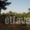 Villa Tatiana_best deals_Villa_Ionian Islands_Corfu_Corfu Rest Areas