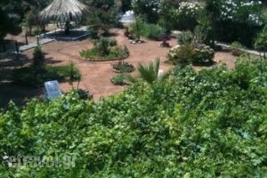 Villa Tatiana_lowest prices_in_Villa_Ionian Islands_Corfu_Corfu Rest Areas