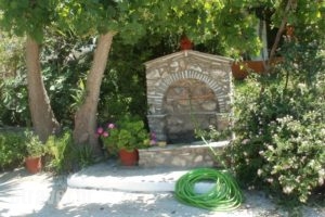Studios Dimitris_holidays_in_Hotel_Sporades Islands_Skiathos_Skiathoshora