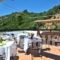 Golden Hill studios_best deals_Apartment_Sporades Islands_Skiathos_Skiathos Rest Areas