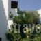 Studios Katerina_lowest prices_in_Hotel_Cyclades Islands_Naxos_Naxos Chora