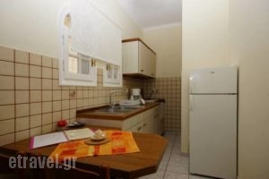 Alexandra Natalia_lowest prices_in_Apartment_Ionian Islands_Corfu_Melitsa