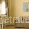 Nautilus Apartments_accommodation_in_Apartment_Central Greece_Fokida_Galaxidi