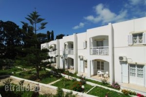 Irene_lowest prices_in_Apartment_Dodekanessos Islands_Leros_Alinda