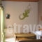 Comfy Hostel /Studios_travel_packages_in_Ionian Islands_Corfu_Corfu Rest Areas