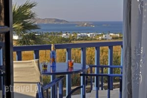 Arokaria Dreams_lowest prices_in_Apartment_Cyclades Islands_Paros_Piso Livadi