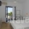 Arokaria Dreams_best deals_Apartment_Cyclades Islands_Paros_Piso Livadi