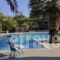 Arokaria Dreams_holidays_in_Apartment_Cyclades Islands_Paros_Piso Livadi