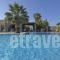 Arokaria Dreams_best prices_in_Apartment_Cyclades Islands_Paros_Piso Livadi