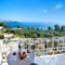 Irida Aegean View_holidays_in_Apartment_Sporades Islands_Skiathos_Skiathos Chora